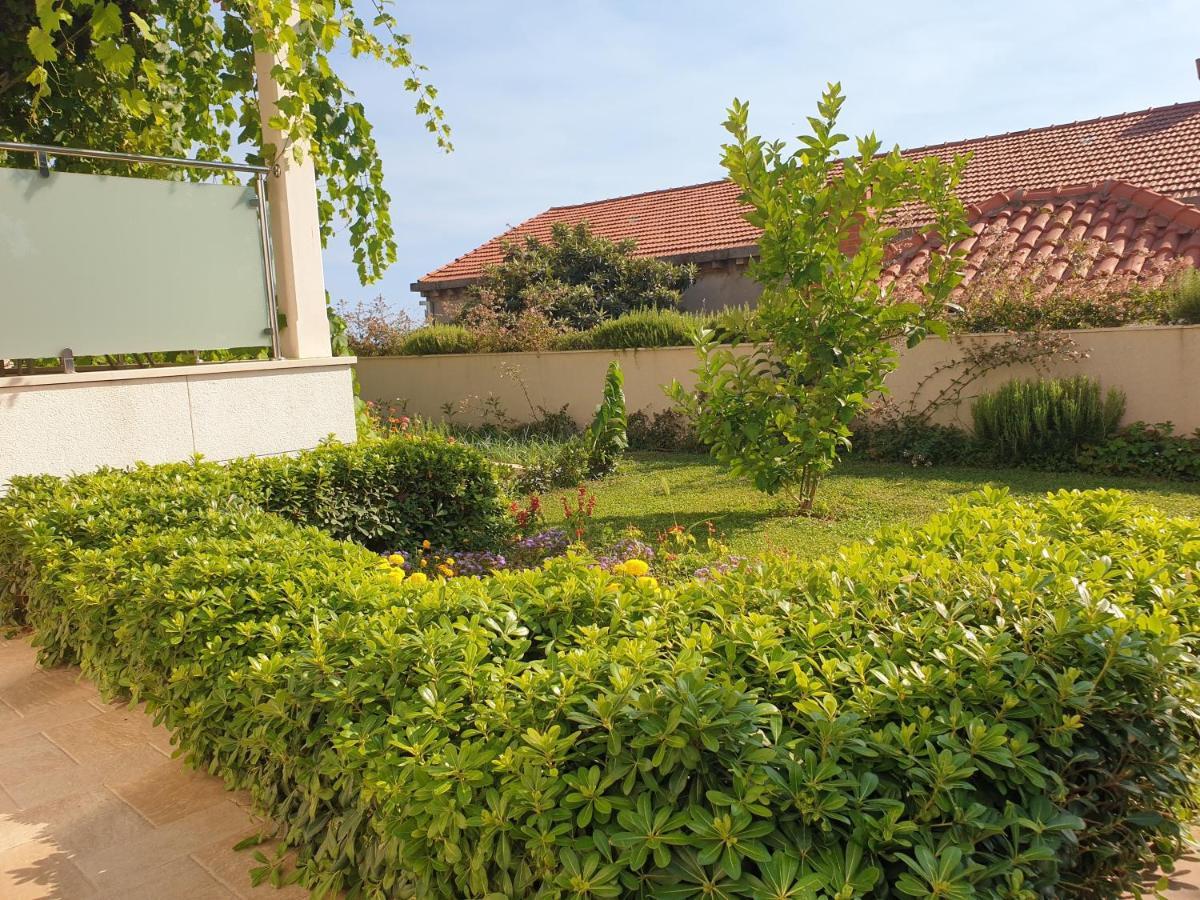 شقة Abelia, Two Terraces, Hot Tub, Free Parking دوبروفينك المظهر الخارجي الصورة