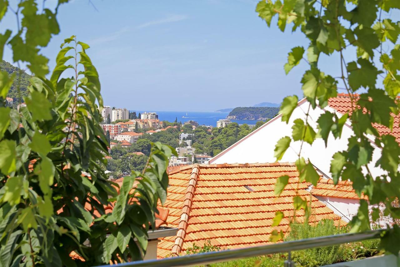 شقة Abelia, Two Terraces, Hot Tub, Free Parking دوبروفينك المظهر الخارجي الصورة